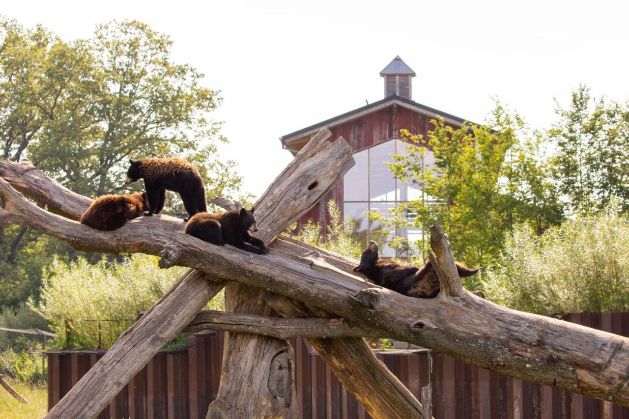 Parc Animalier De Sainte-Croix Otel Rhodes Dış mekan fotoğraf